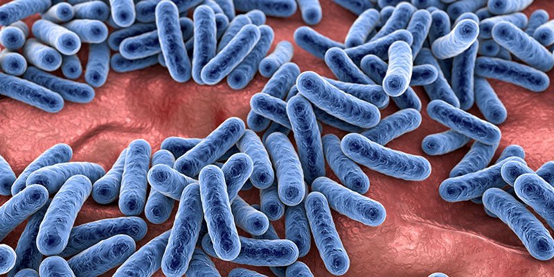 The Importance of a Balanced Skin Microbiome: What It Is and Why It Matters - LaFlore