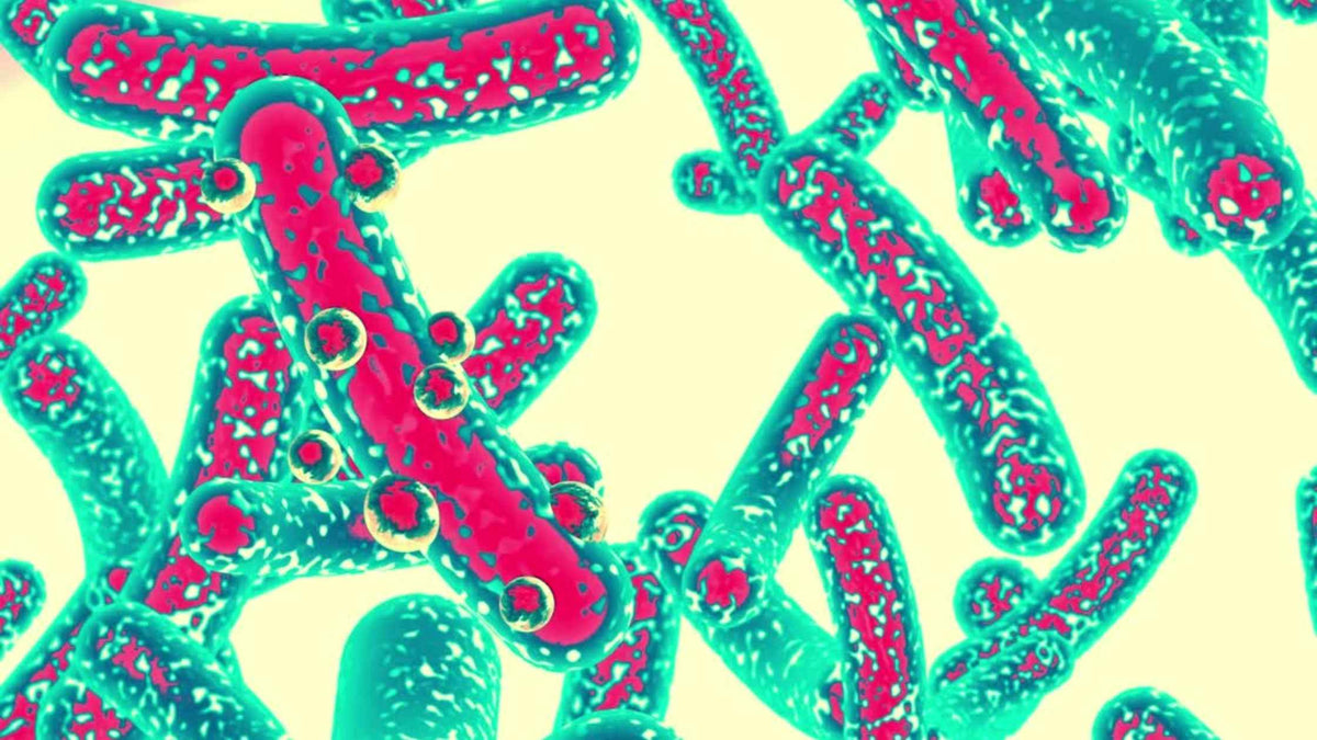 7 Ways Probiotic Lactobacillus Can Be a Game-Changer - LaFlore