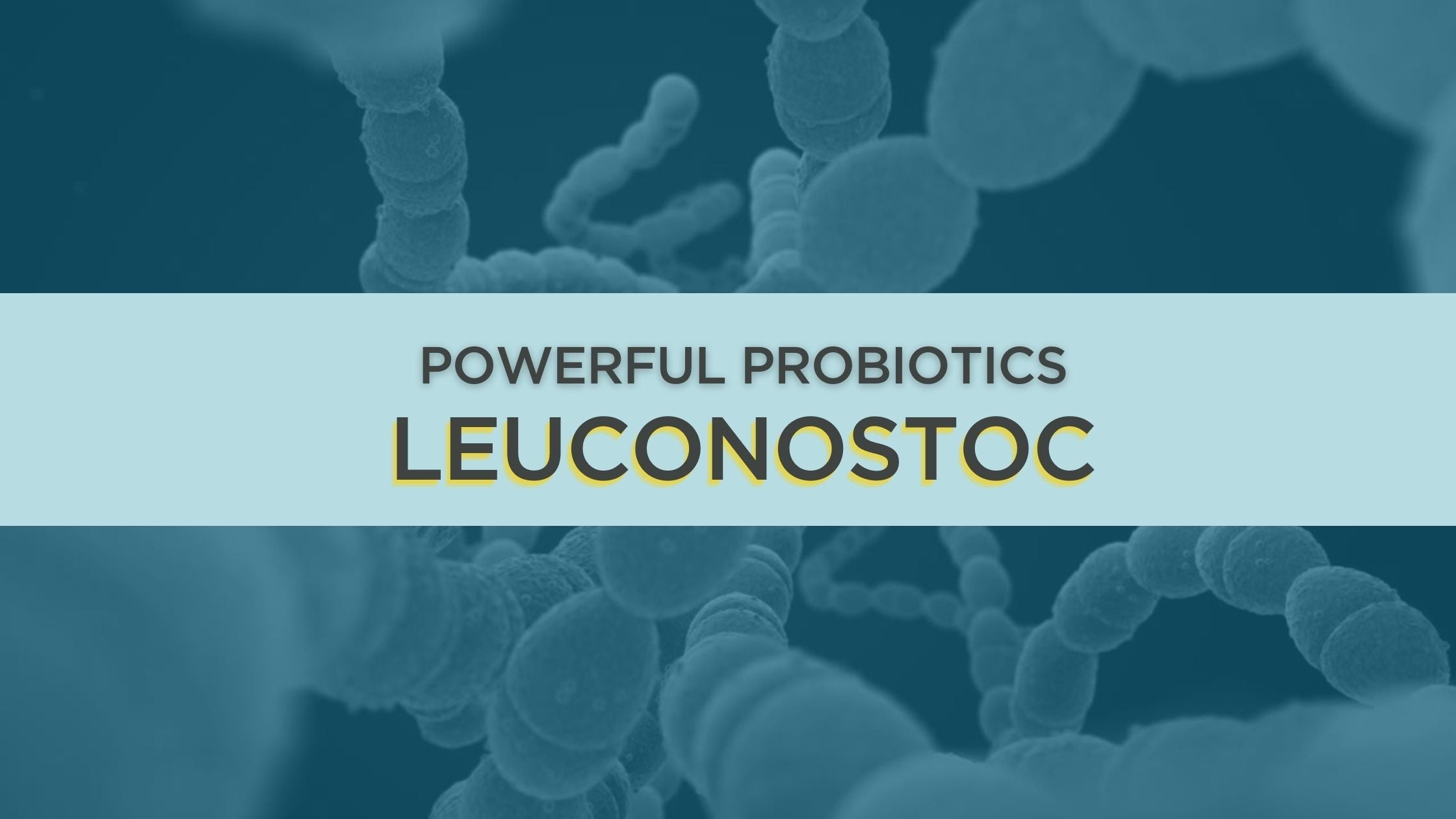Enhancing Spa Treatments with Leuconostoc: The Microbiome Boost Your Clients Need